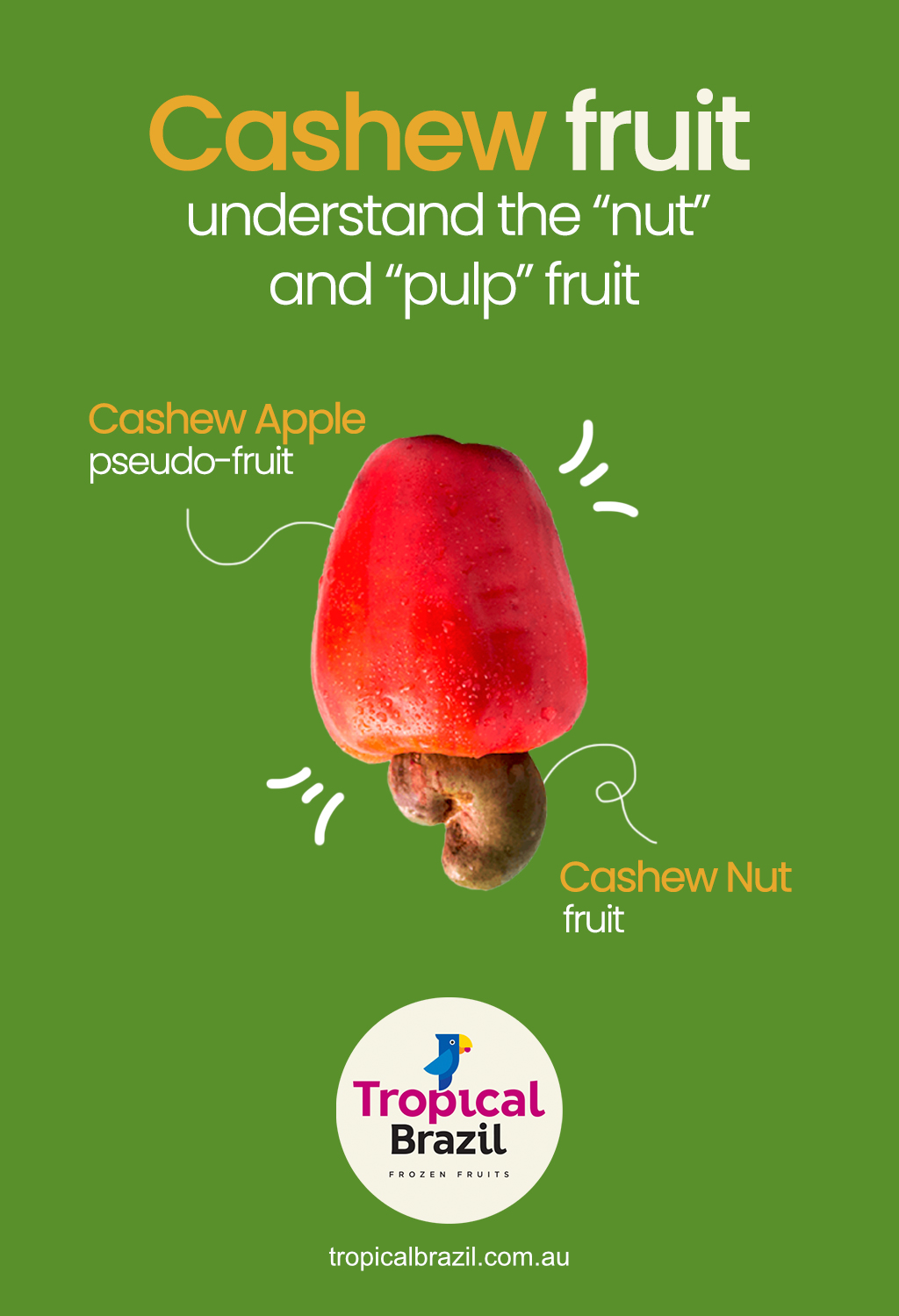 cashew fruit site