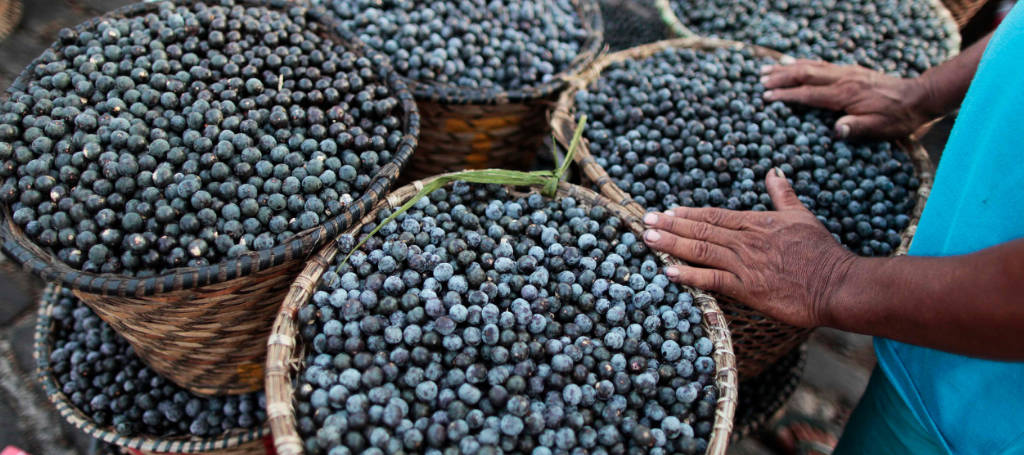 Why Açaí is Bad?