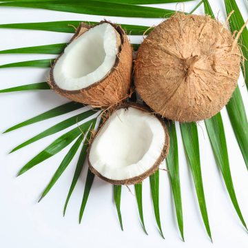 template-produtos-ecomm